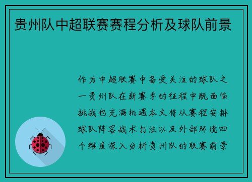 贵州队中超联赛赛程分析及球队前景